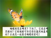 人教部编版语文四年级上册《蝴蝶的家》课件