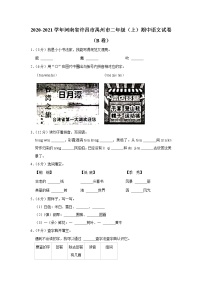 河南省许昌市禹州市2020-2021学年 二年级（上）期中语文试卷（B卷）