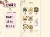 部编语文二年级下册第三单元 识字4  中国美食课件+教案+同步练习+其它