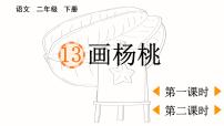 小学语文13 画杨桃背景图课件ppt