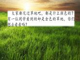 人教部编版语文三年级上册《 金色的草地》课件
