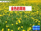 人教部编版语文三年级上册《 金色的草地》课件