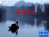 人教部编版语文三年级上册《搭船的鸟》课件