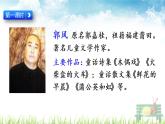 人教部编版语文三年级上册《搭船的鸟》课件
