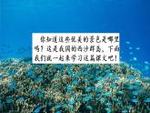 人教部编版语文三年级上册《富饶的西沙群岛》课件