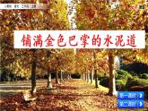 人教部编版语文三年级上册《铺满金色巴掌的水泥道》课件