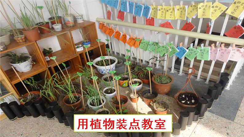 人教部编版语文三年级上册《习作：我有一个想法》课件03