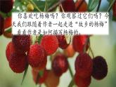 人教部編版語文三年級上冊《習(xí)作例文：我愛故鄉(xiāng)的楊梅》課件