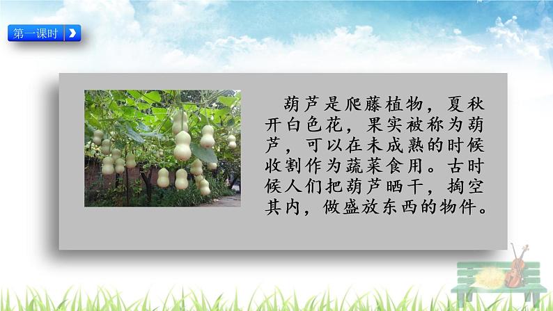 部编版二年级语文上册《 我要的是葫芦》课件03