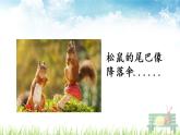 部编版二年级语文上册《口语交际： 有趣的动物》课件