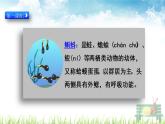 部编版二年级语文上册《小蝌蚪找妈妈》课件