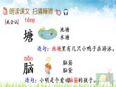 部编版二年级语文上册《小蝌蚪找妈妈》课件