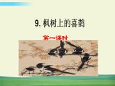 部编语文二年级下册第四单元 9 枫树上的喜鹊（标准版）课件+教案