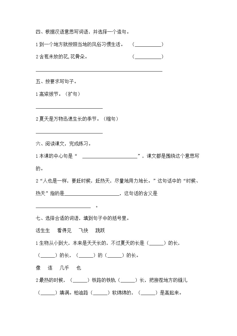 人教统编版六年级语文上试题 夏天里的成长含答案02