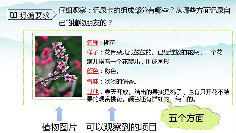 人教部编版三年级语文下册第一单元习作  我的植物朋友  PPT课件+教学设计06