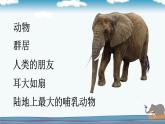 4 曹冲称象课件PPT