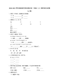 河南省许昌市禹州市2020-2021学年+一年级上学期期中语文试卷（有答案）