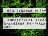 新部编版小学语文二年级下册：祖先的摇篮课件