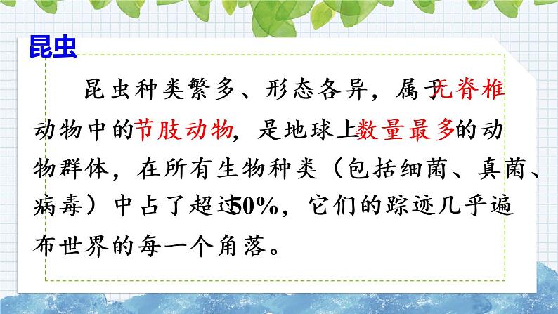 新部编版小学语文三年级下册：昆虫备忘录课件第3页