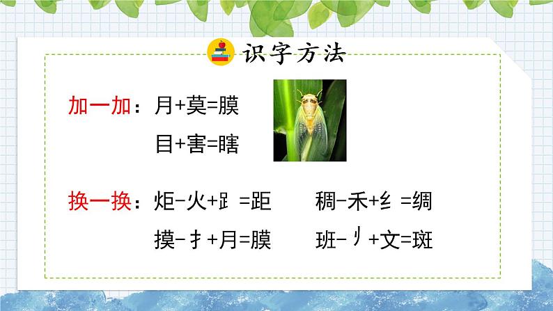 新部编版小学语文三年级下册：昆虫备忘录课件第5页