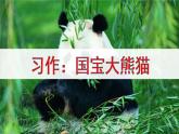 新部编版小学语文三年级下册：习作：国宝大熊猫课件