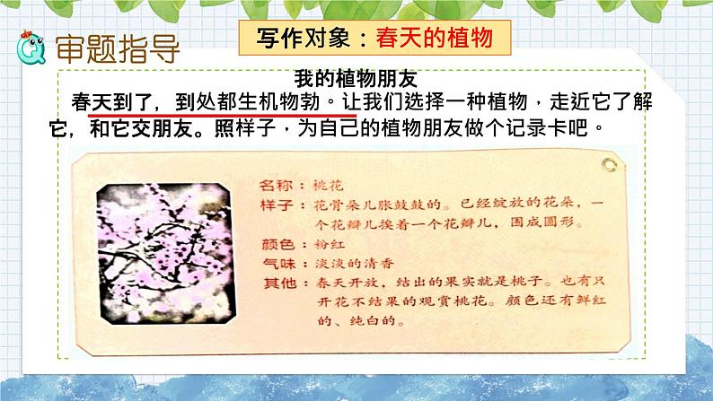 新部编版小学语文三年级下册：习作：我的植物朋友课件第7页