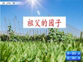 新部编版小学语文五年级下册课件：祖父的园子