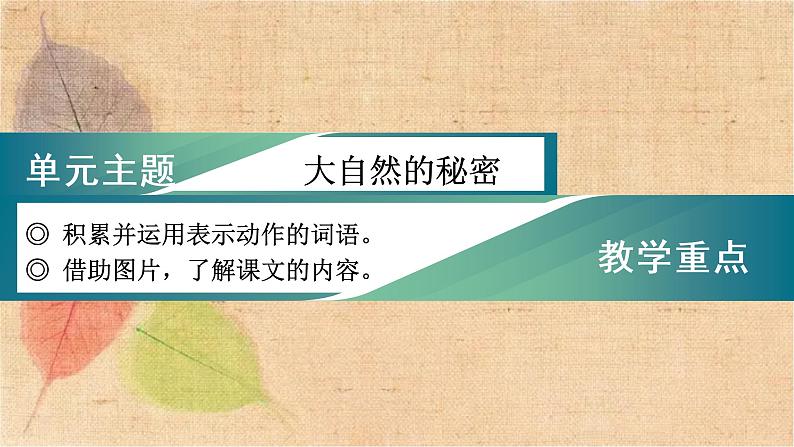 部编版语文二年级上册 1 小蝌蚪找妈妈 课件01