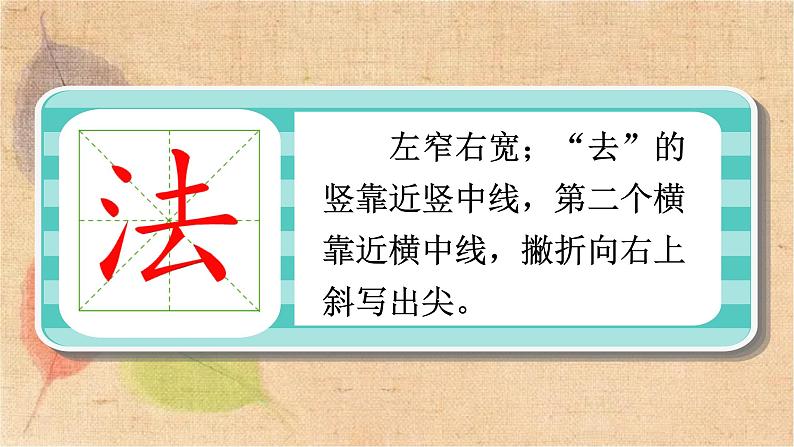 部编版语文二年级上册 3 植物妈妈有办法 课件08