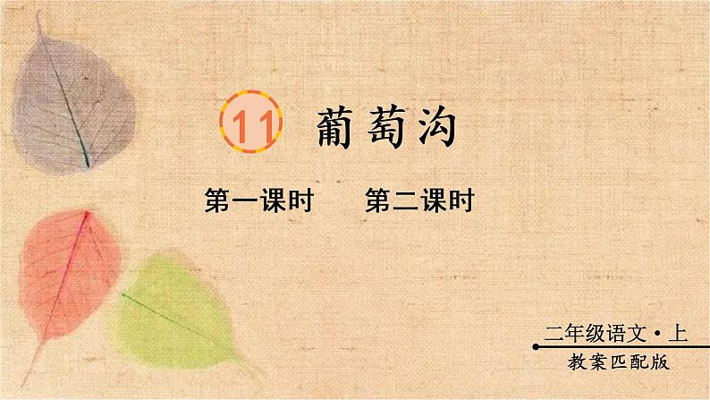 部编版语文二年级上册 11 葡萄沟 课件第1页