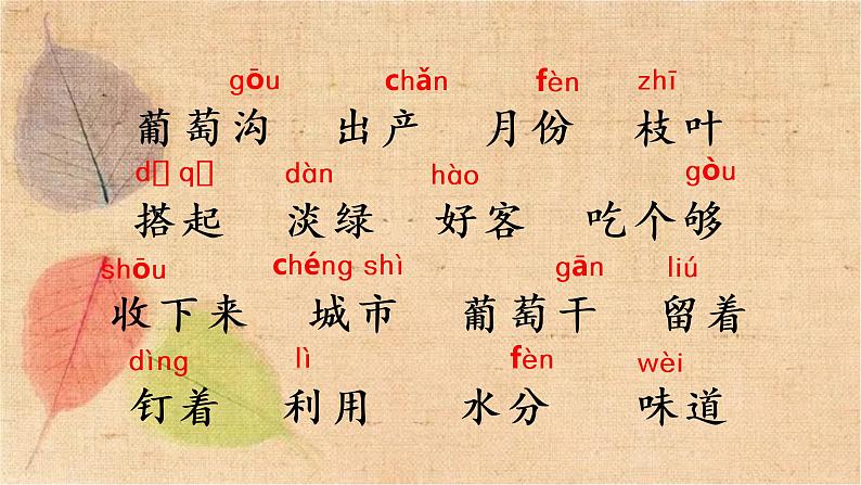 部编版语文二年级上册 11 葡萄沟 课件第6页