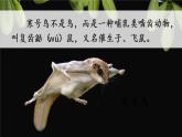 部编版语文二年级上册 13 寒号鸟 课件