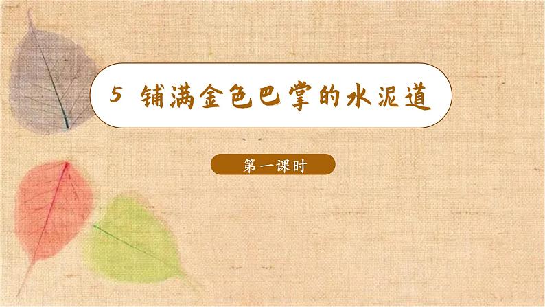 部编版语文三年级上册 5.铺满金色巴掌的水泥道 课件第2页