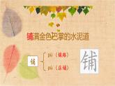 部编版语文三年级上册 5.铺满金色巴掌的水泥道 课件