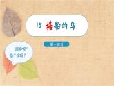 部编版语文三年级上册 15.搭船的鸟 课件