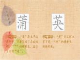 部编版语文三年级上册 16.金色的草地 课件