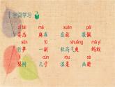 部编版语文三年级上册 22.读不完的大书 课件