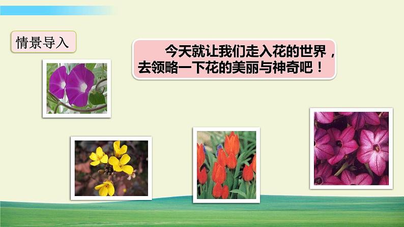 13 花钟【标准版】第2页