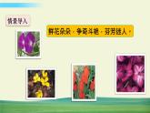 人教版语文三年级下册第四单元 13 花钟课件+教案+课时练+反思+其它
