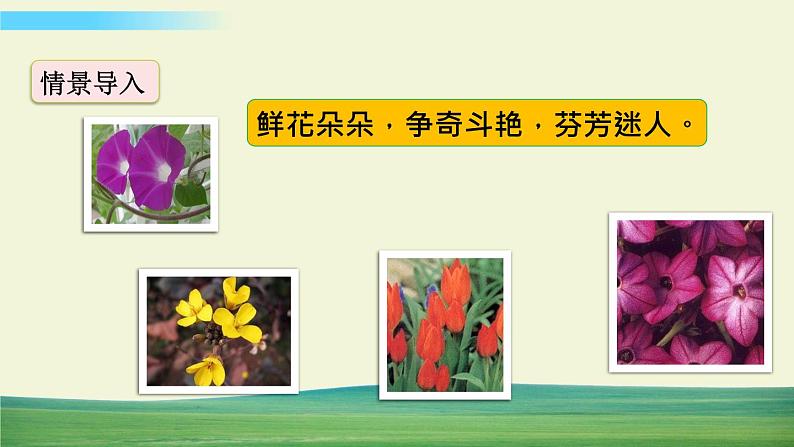 13 花钟【标准版】第3页