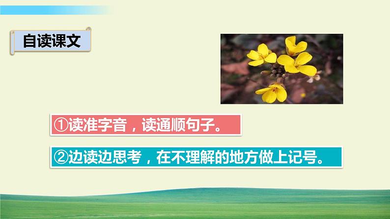 13 花钟【标准版】第4页