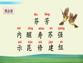 人教版语文三年级下册第四单元 13 花钟课件+教案+课时练+反思+其它