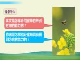 人教版语文三年级下册第四单元 14 蜜蜂课件+教案+课时练+反思+其它