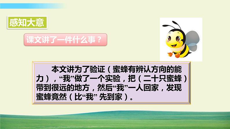 人教版语文三年级下册第四单元 14 蜜蜂课件+教案+课时练+反思+其它06