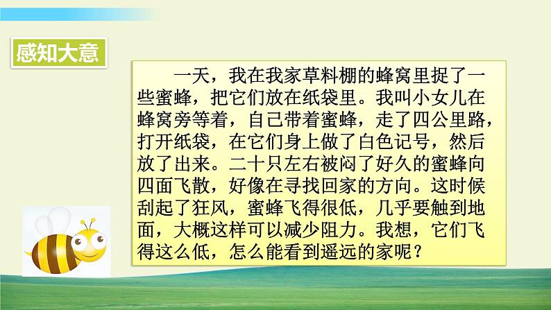 人教版语文三年级下册第四单元 14 蜜蜂课件+教案+课时练+反思+其它07