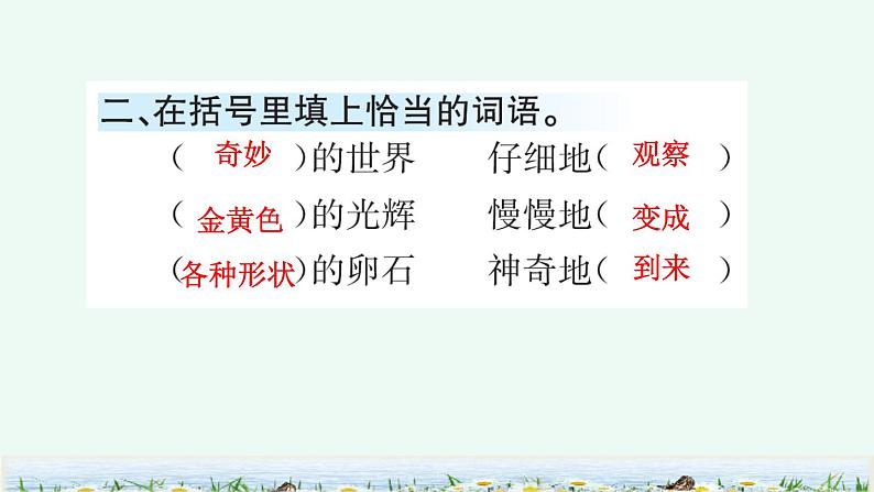 人教版语文三年级下册第七单元 22 我们奇妙的世界课件+教案+课时练+反思+其它03