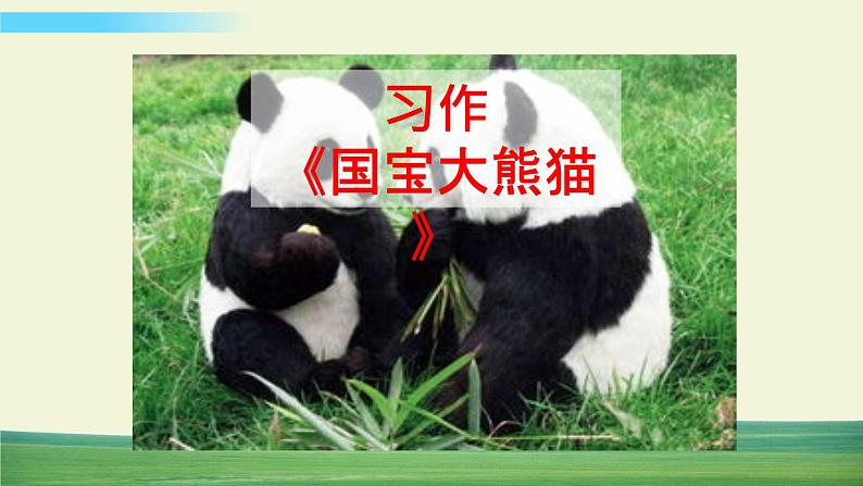 习作：国宝大熊猫【标准版】第1页