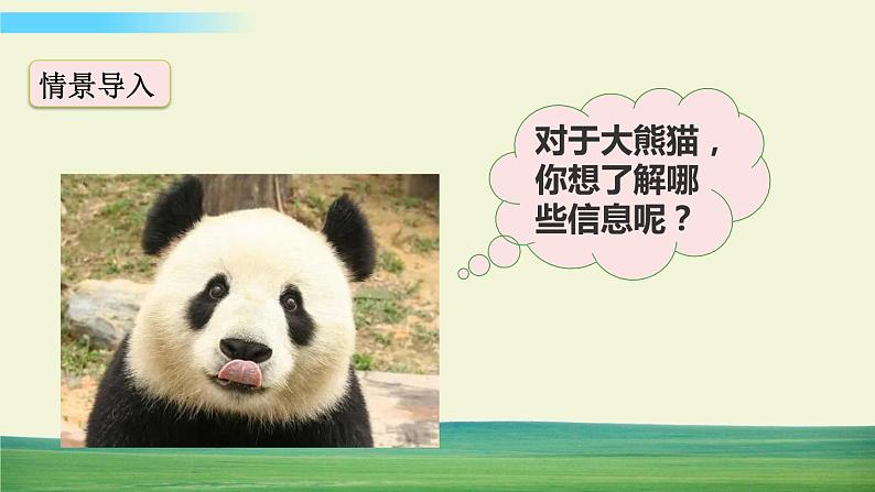 习作：国宝大熊猫【标准版】第3页