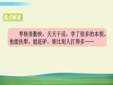 人教版语文三年级下册第八单元 28 枣核课件+教案+课时练+反思+其它