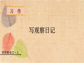 部编版语文四年级上册 习作三  写观察日记 课件